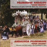 Andalucia Pilgrimage "rocio Grande"