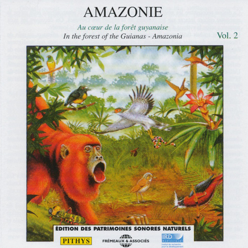 Amazonie Vol 2 : In The Forest Of The Guianas