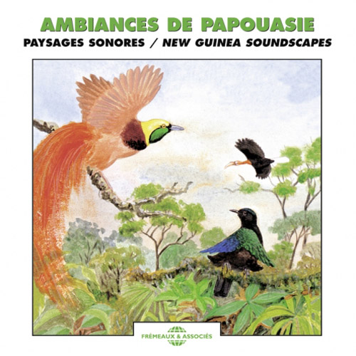 Ambiances De Papouasie - Birds Of Papua New Guinea