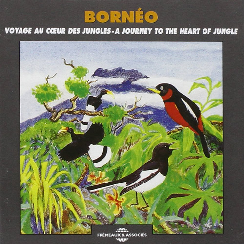 Borneo - Voyage Au Coeur Des Jungles