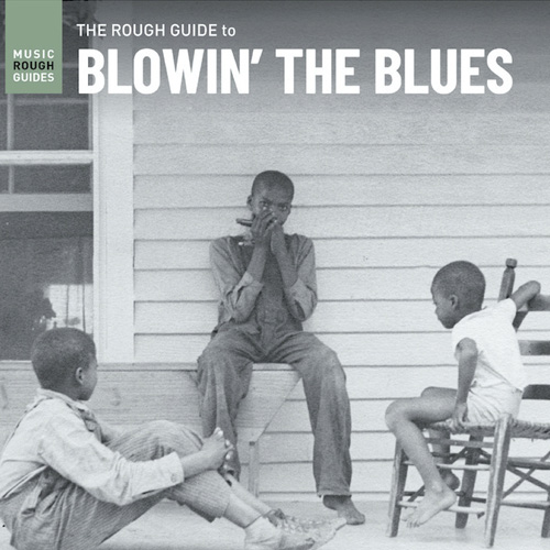 VARIOUS ARTISTS - The Rough Guide To Blowinf The Blues