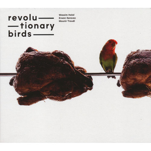 Revoutionary Birds