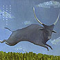 Bufalo