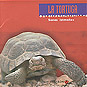 La Tortuga - Sones Istmenos