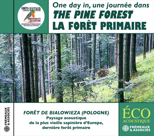 UNE JOURNEE DANS LA FORET PRIMAIRE - La Foret De Sapins