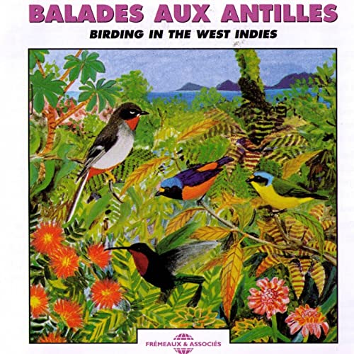 Balades Aux Antilles