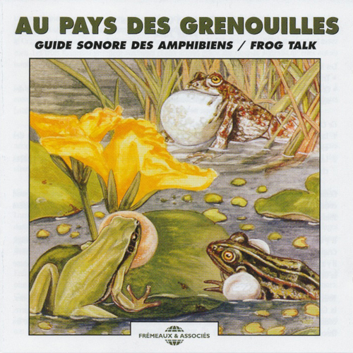 Au Pays Des Grenouilles / Frog Talk