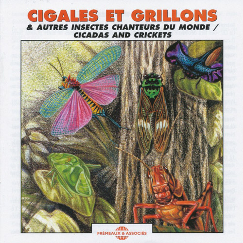 Cigales Et Grillons & Autres Insectes Chanteurs Du Monde