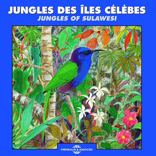 Jungles Des Iles Celebes