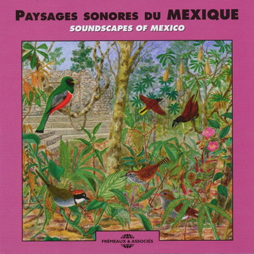 Paysages Sonores Du Mexique - Soundscapes Of Mexico