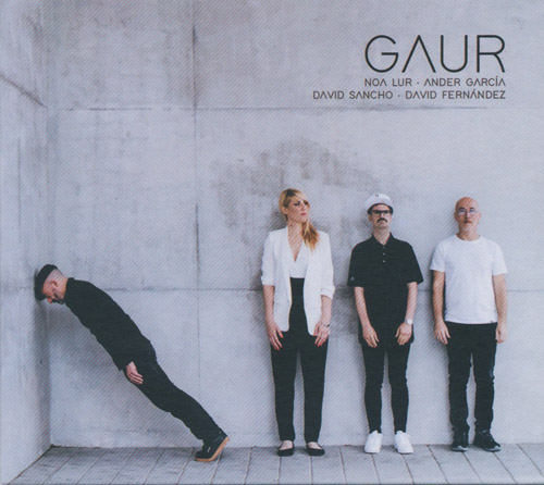 GAUR - Gaur