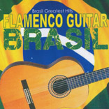 Flamenco Guitar Brasil